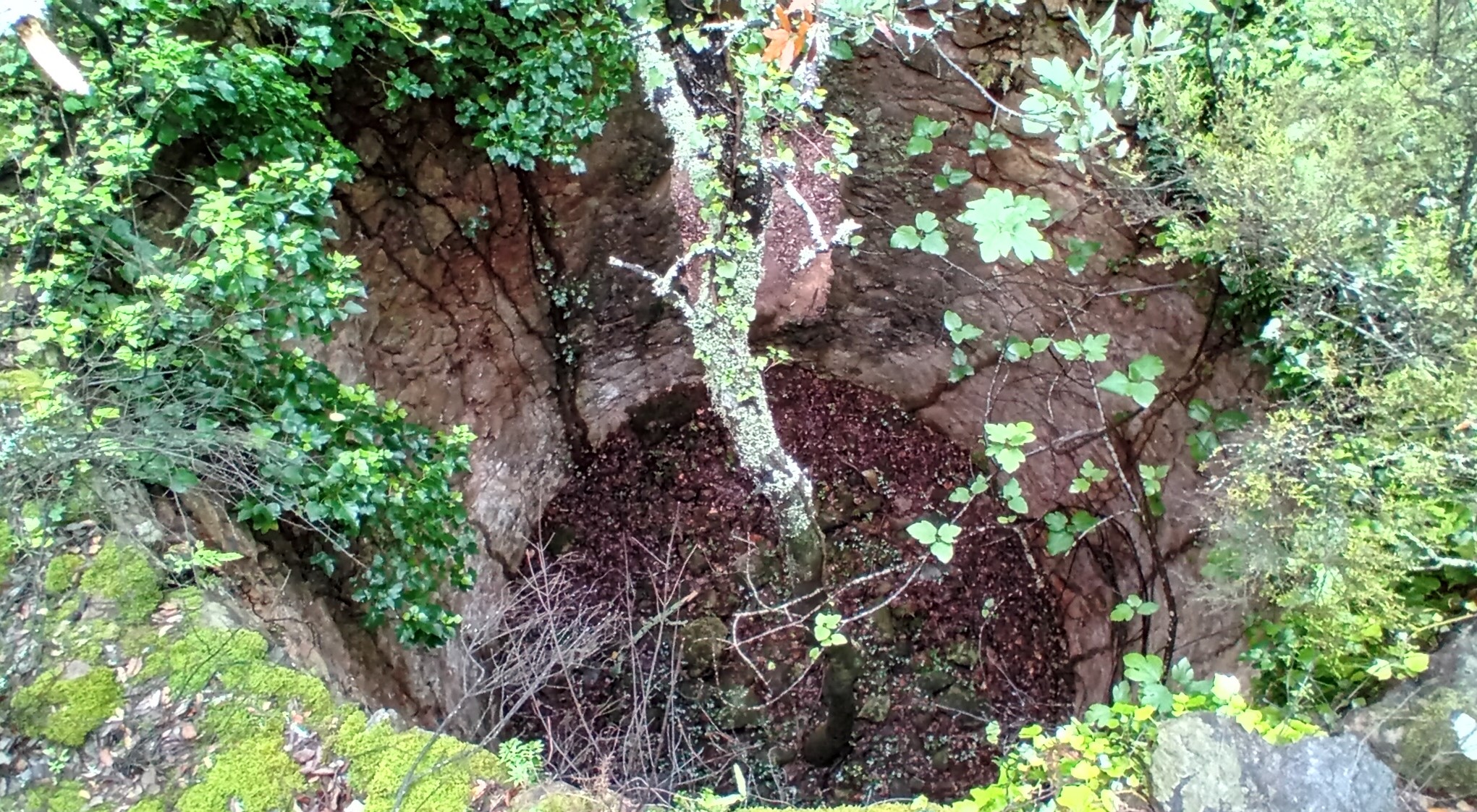Interior del forn de Puig de Milà